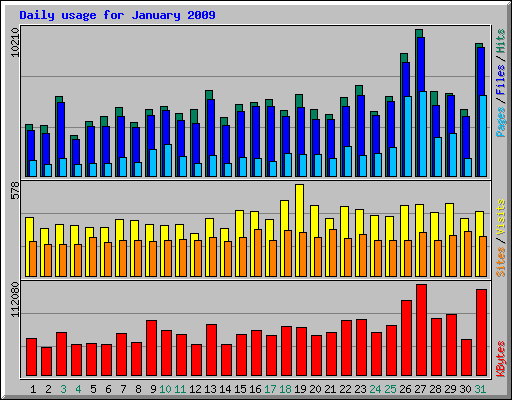 Daily usage for January 2009