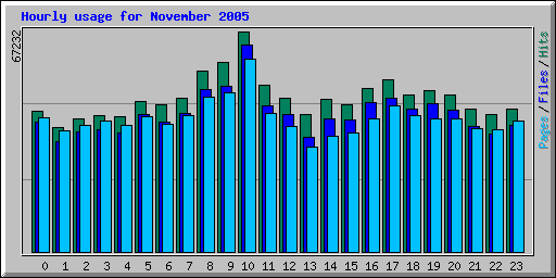 Hourly usage for November 2005