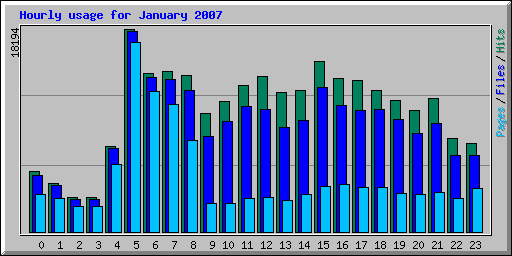 Hourly usage for January 2007