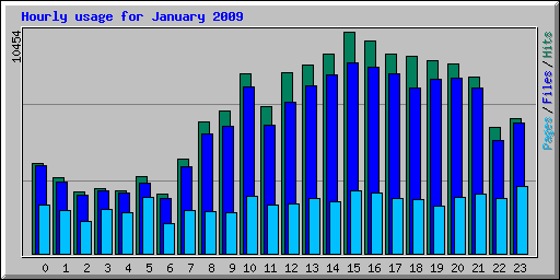 Hourly usage for January 2009