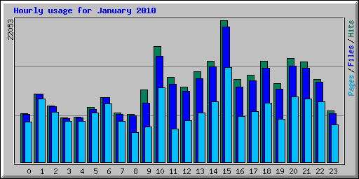Hourly usage for January 2010
